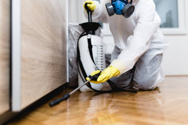 Best Termite Control Services  in Sonoma, CA
