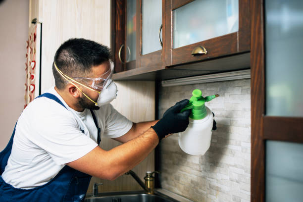 Best Ant Control Services  in Sonoma, CA