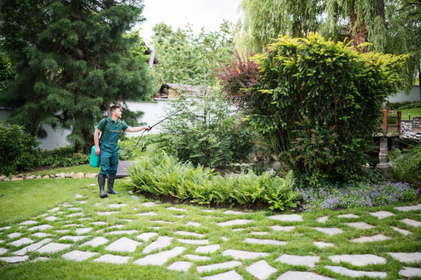 Best Exterminator Services  in Sonoma, CA