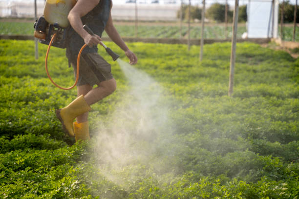 Best Emergency Pest Control  in Sonoma, CA