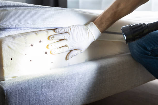 Trusted Sonoma, CA Pest Control Experts